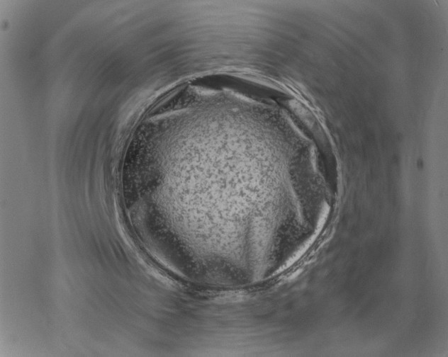 X0000076390097200610271603