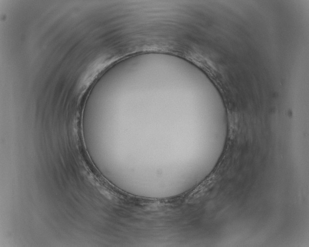 X0000076390098200610271603