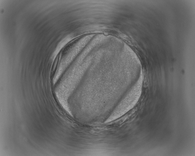 X0000076390099200610271603