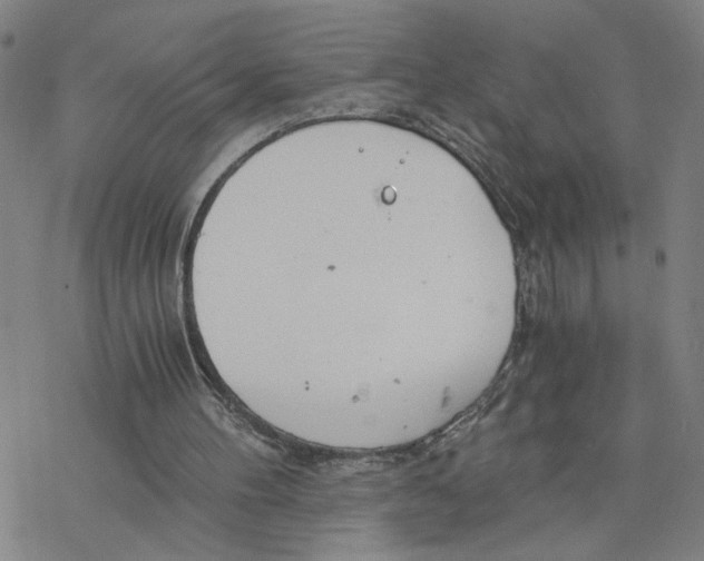 X0000076390100200610271603