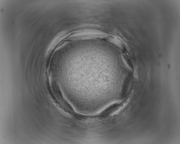 X0000076390101200610271603