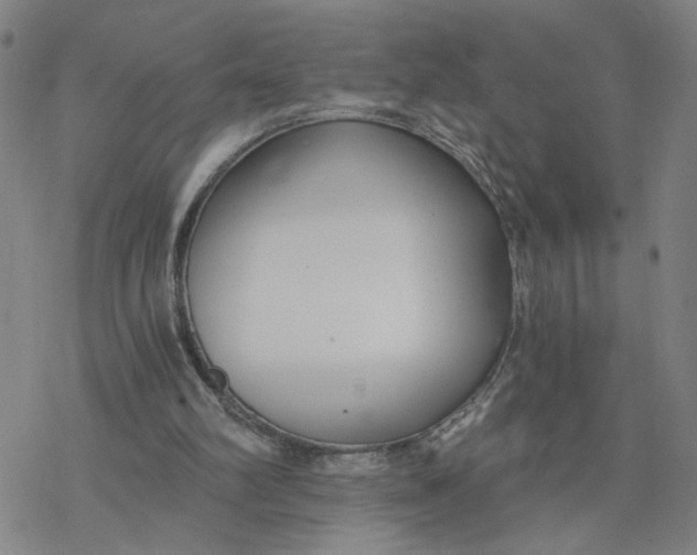 X0000076390102200610271603