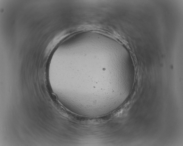 X0000076390103200610271603