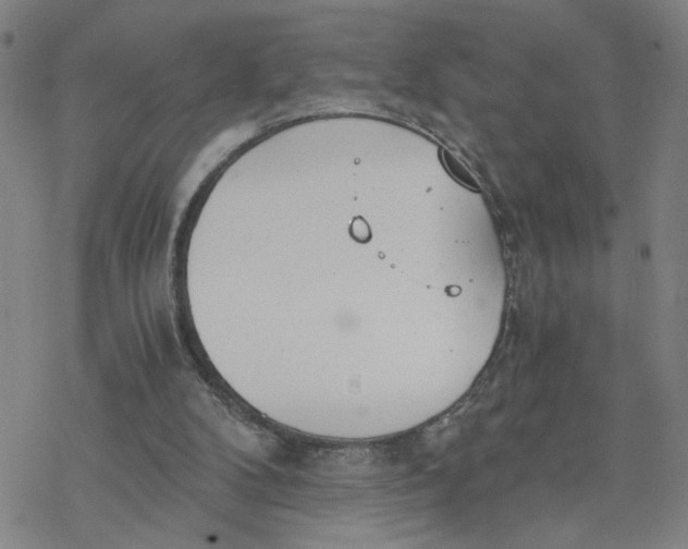 X0000076390104200610271603