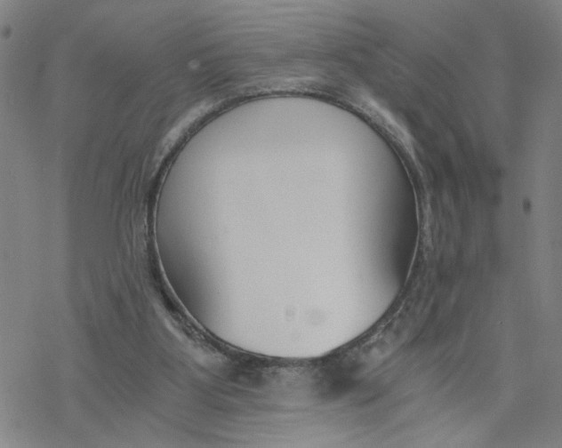 X0000076390107200610271603