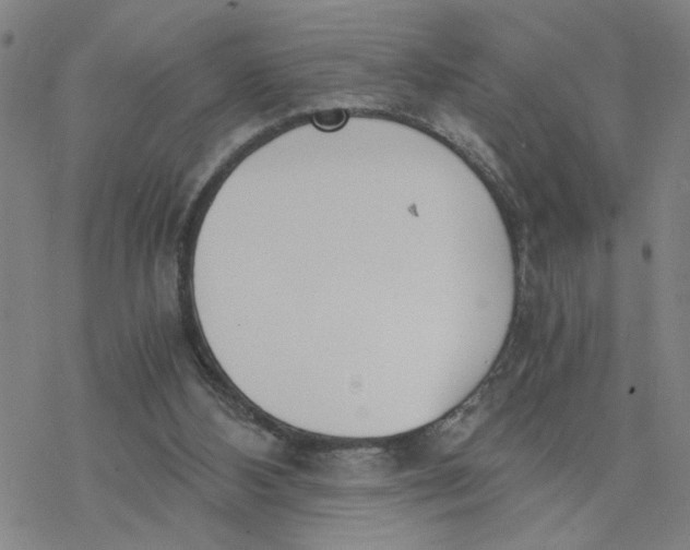 X0000076390108200610271603