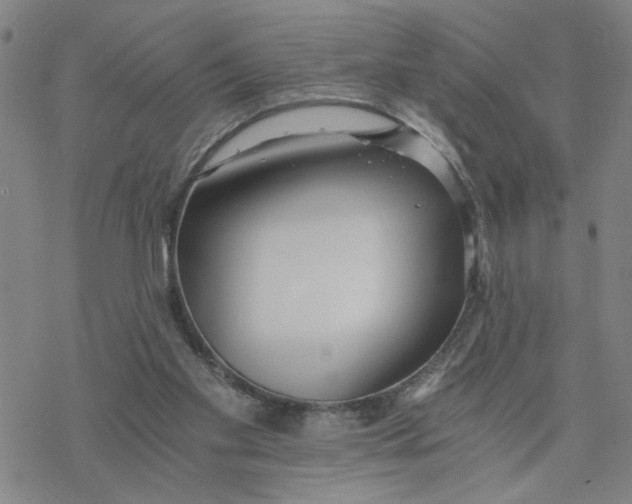 X0000076390109200610271603