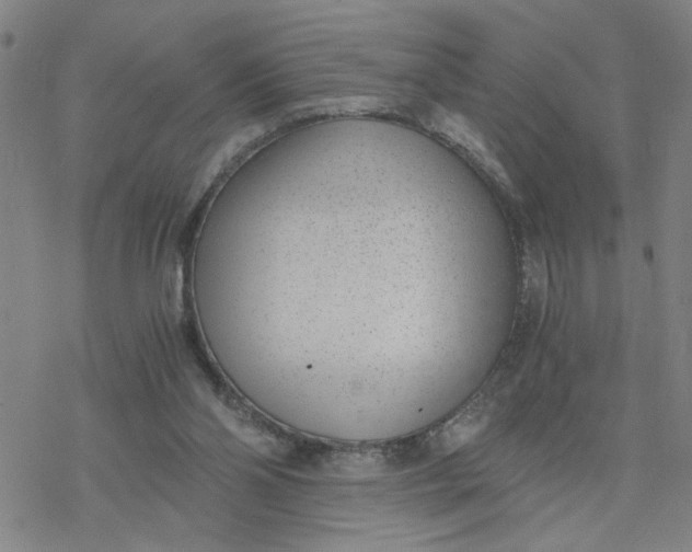 X0000076390110200610271603