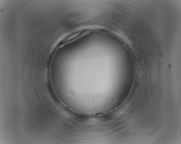 X0000076390111200610271603