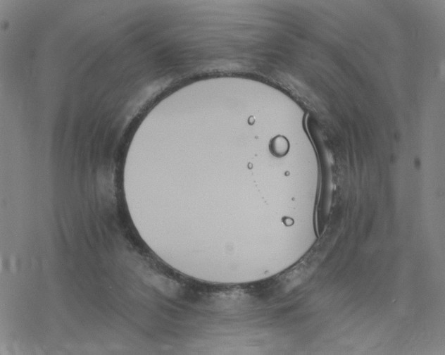 X0000076390112200610271603