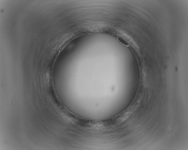 X0000076390113200610271603