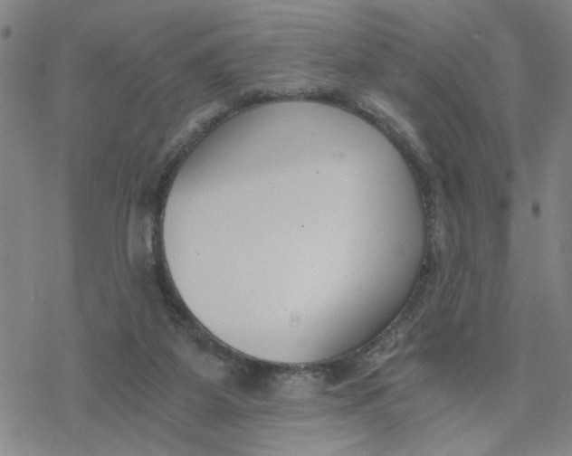 X0000076390115200610271603