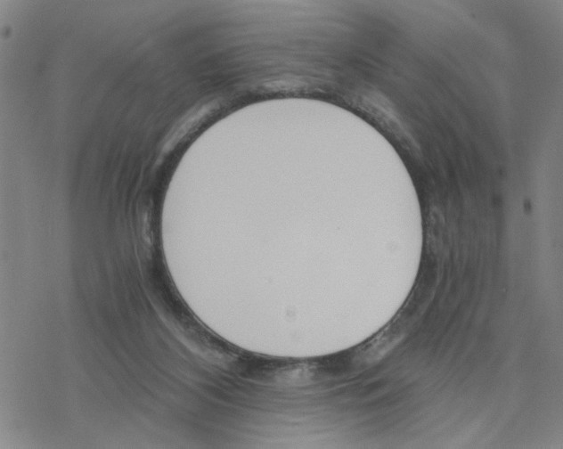 X0000076390116200610271603