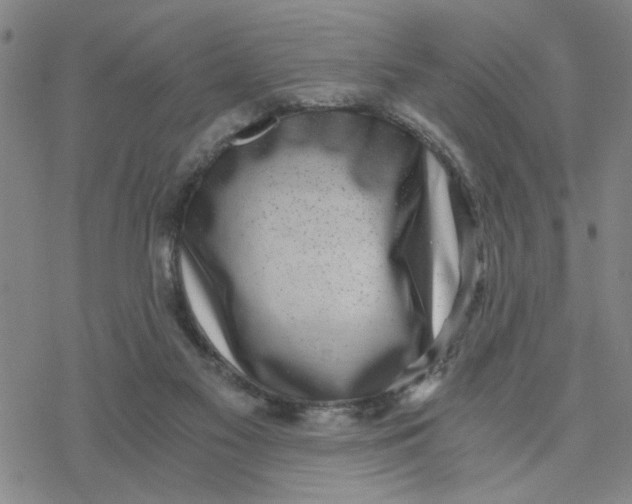 X0000076390117200610271602