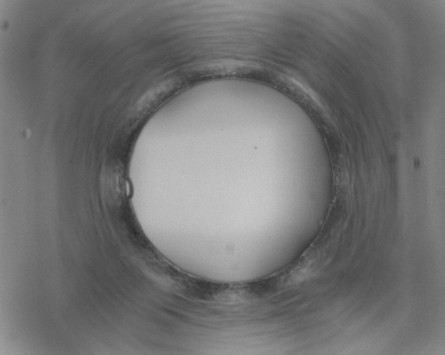 X0000076390119200610271602