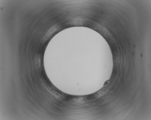 X0000076390120200610271602