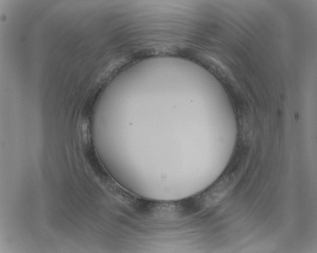 X0000076390123200610271602