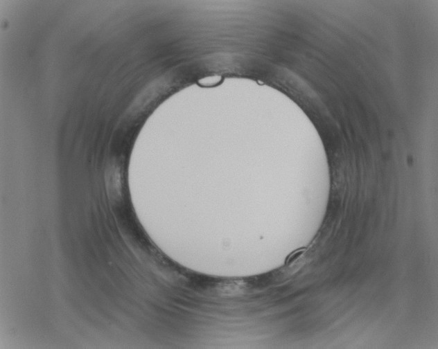 X0000076390124200610271602