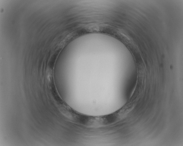 X0000076390125200610271602