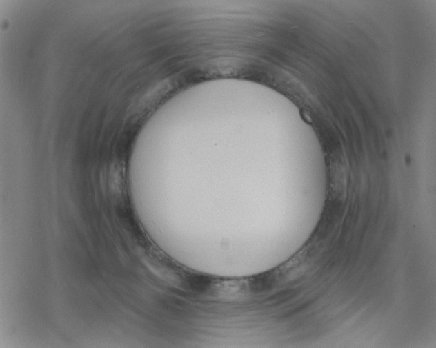 X0000076390126200610271602