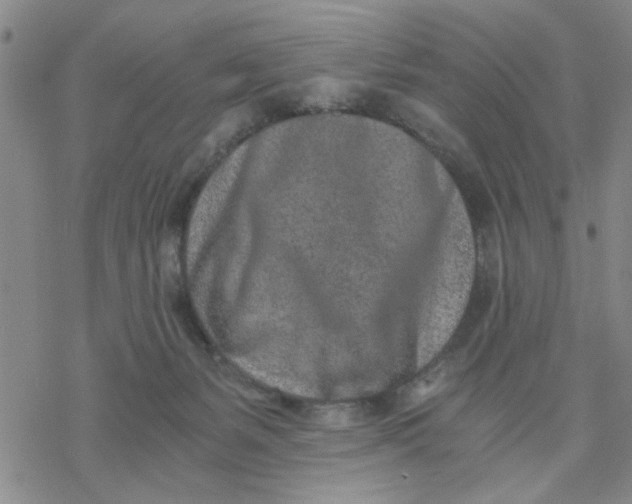 X0000076390127200610271602