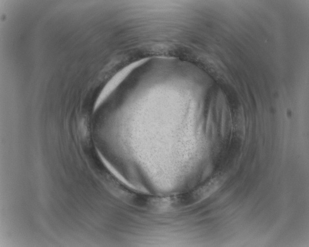 X0000076390131200610271602