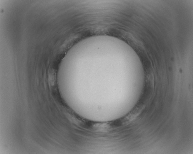 X0000076390133200610271602