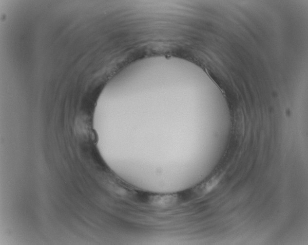 X0000076390135200610271602