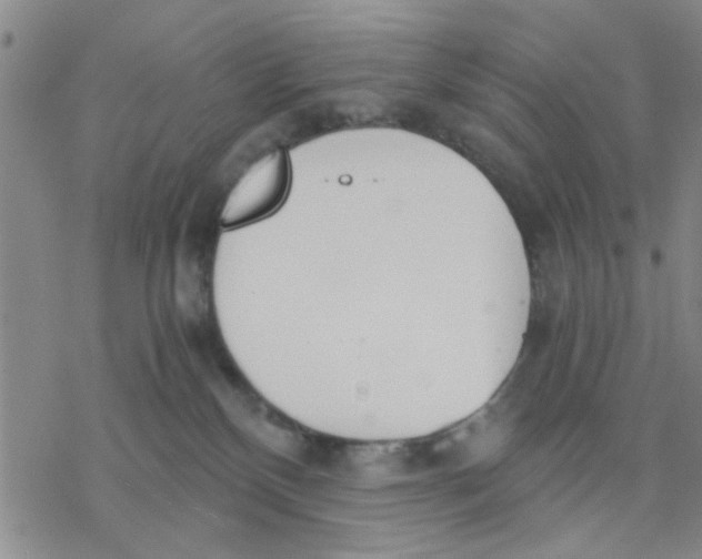 X0000076390136200610271602