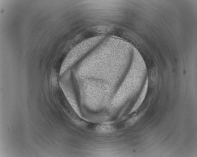 X0000076390137200610271602