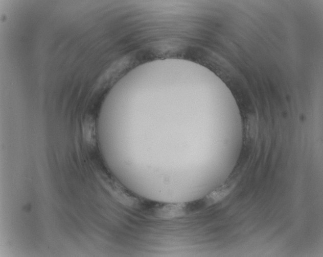 X0000076390138200610271602