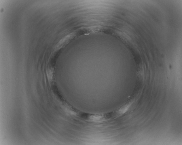 X0000076390139200610271602