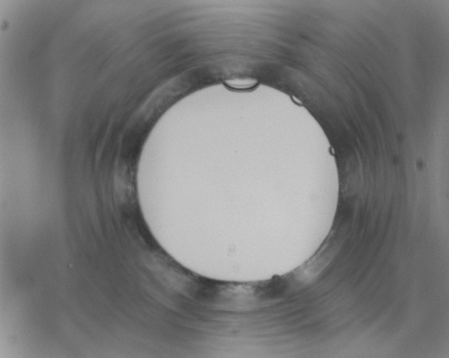 X0000076390140200610271602