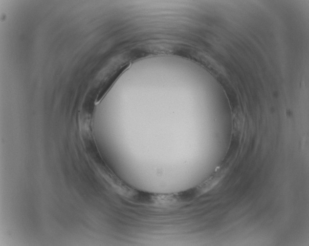 X0000076390141200610271602