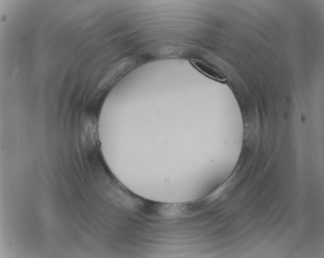 X0000076390142200610271602