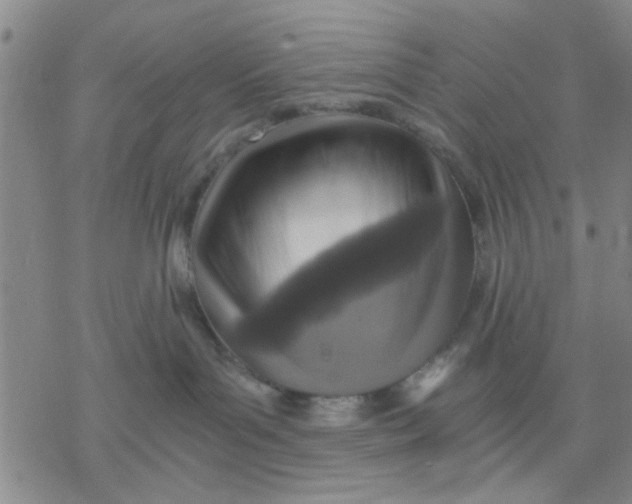 X0000076390143200610271602