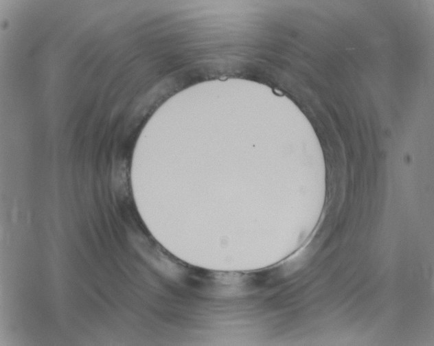 X0000076390144200610271602