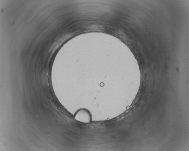 X0000076390146200610271601