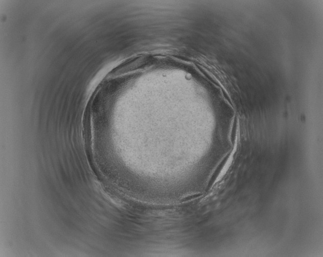 X0000076390147200610271601