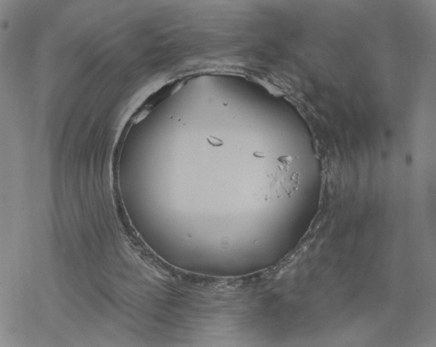 X0000076390148200610271601