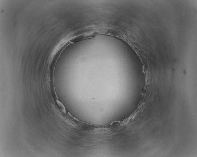 X0000076390150200610271601