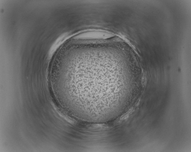 X0000076390151200610271601