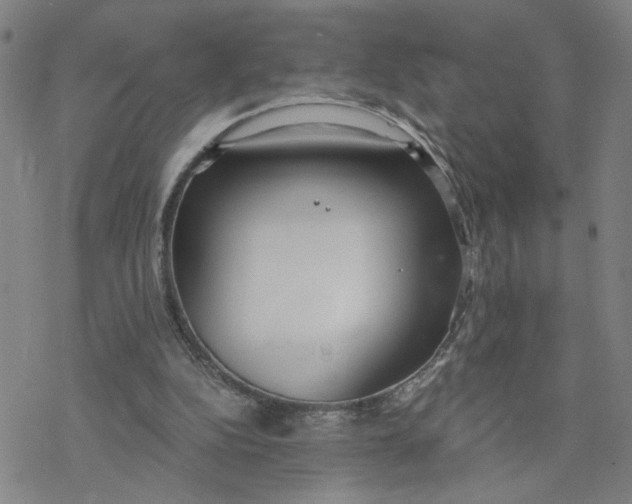 X0000076390152200610271601