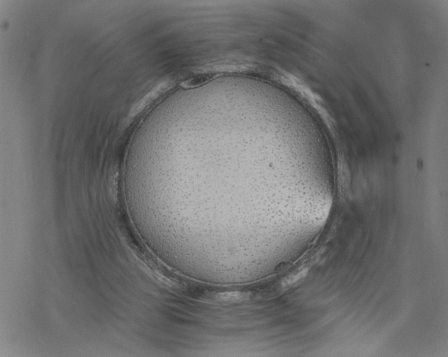 X0000076390153200610271601