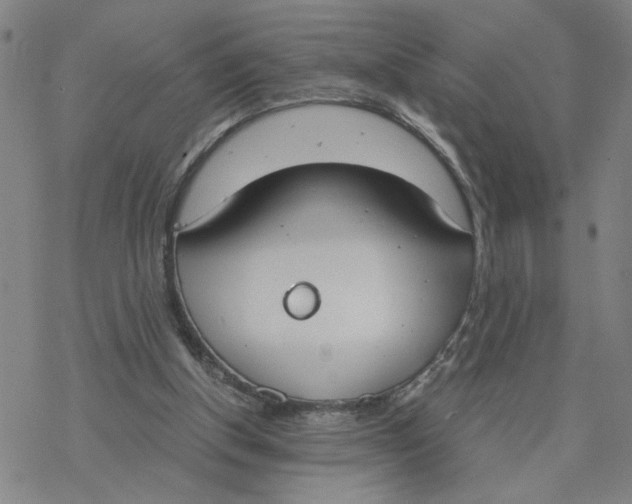 X0000076390154200610271601