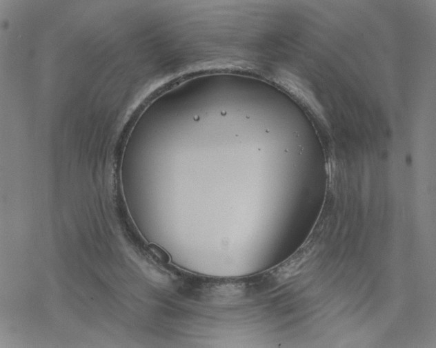 X0000076390156200610271601