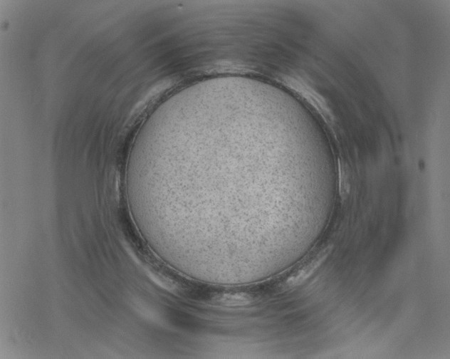 X0000076390157200610271601