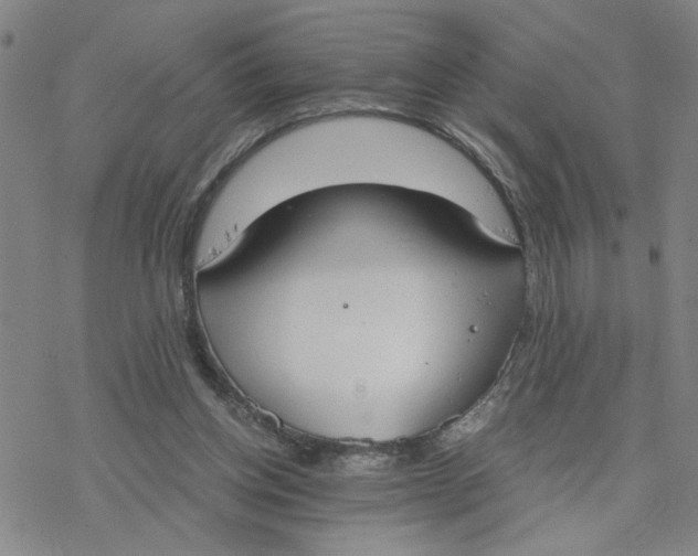 X0000076390158200610271601