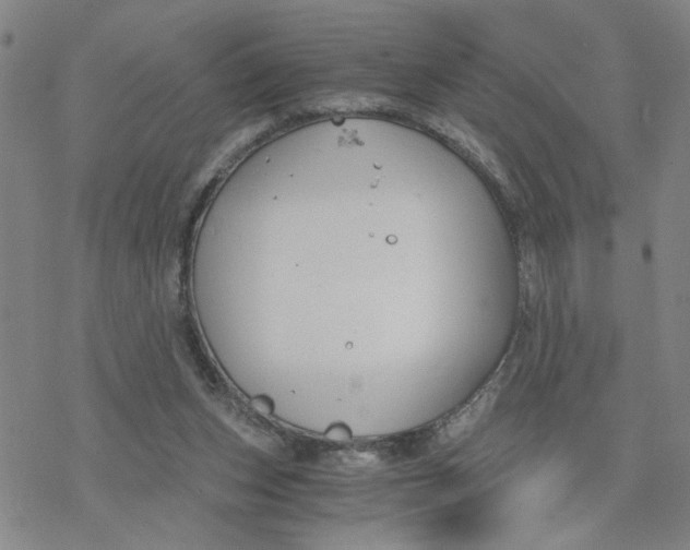 X0000076390159200610271602