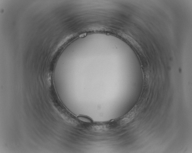 X0000076390160200610271602